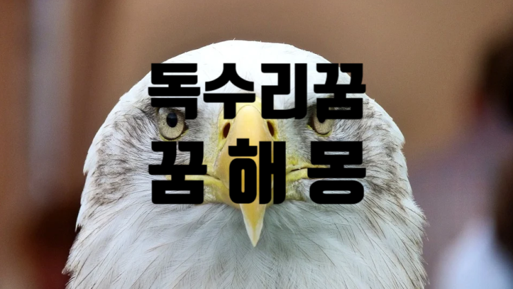  독수리 꿈 / 꿈 해 몽