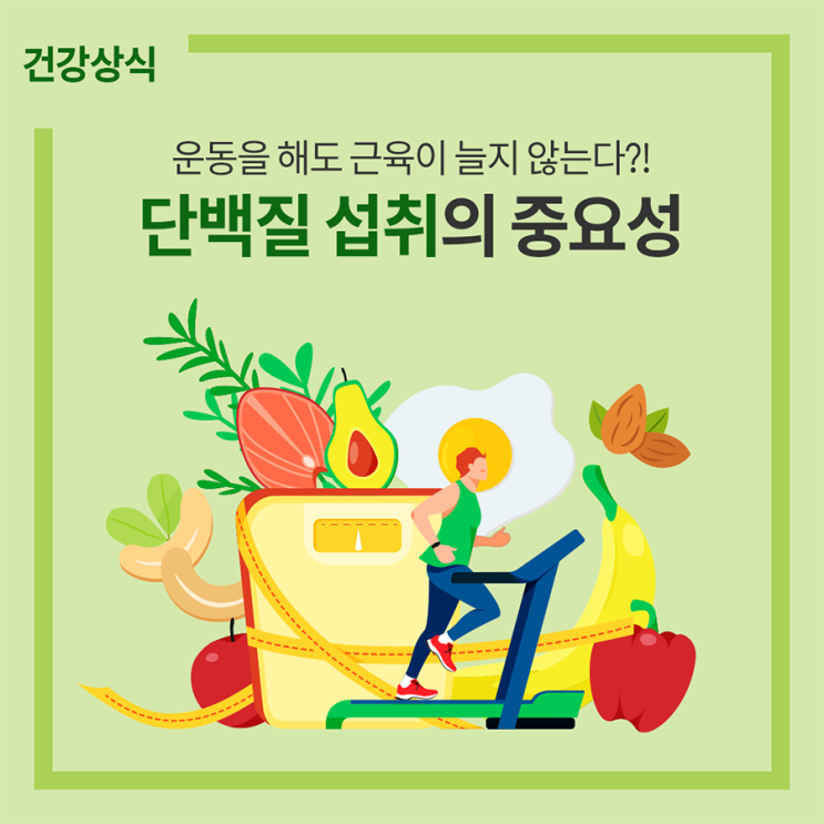  단백질 섭취의 중요성(뉴트리 파이토 푸로틴)