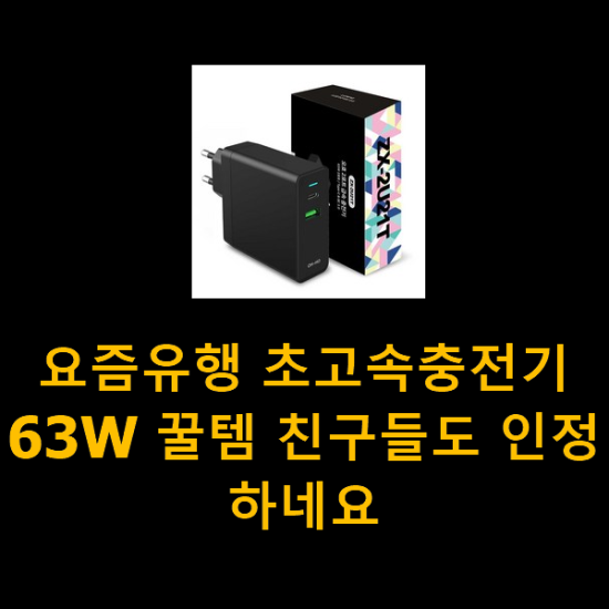 요즘유행 초고속충전기63W 꿀템 친구들도 인정하네요