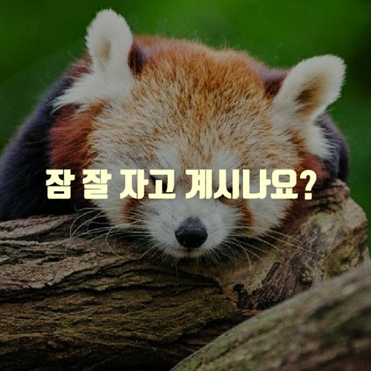  당신은 잘 자고 계신가요