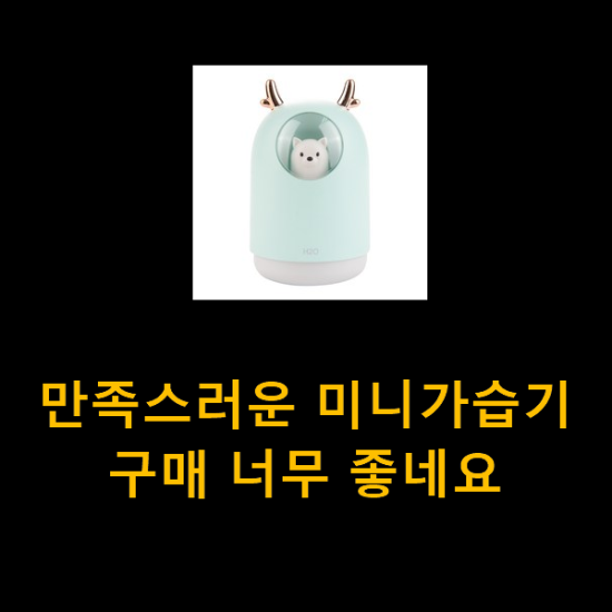 만족스러운 미니가습기 구매 너무 좋네요 만족스러운 미니가습기 구매 너무 좋네요