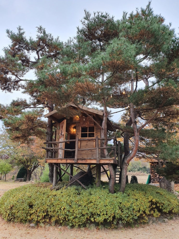 가평 카페 코미호미(아이와 함께 가기 좋은 카페)