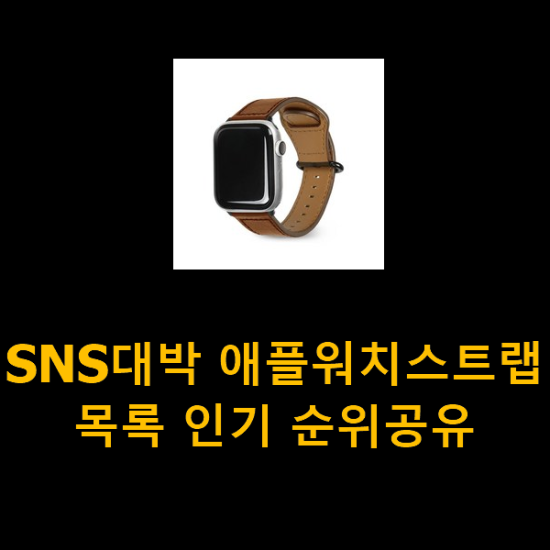 SNS대박 애플워치스트랩 목록 인기 순위공유