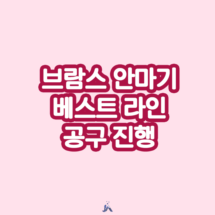  브람스 다리미인 특별 공구 진행