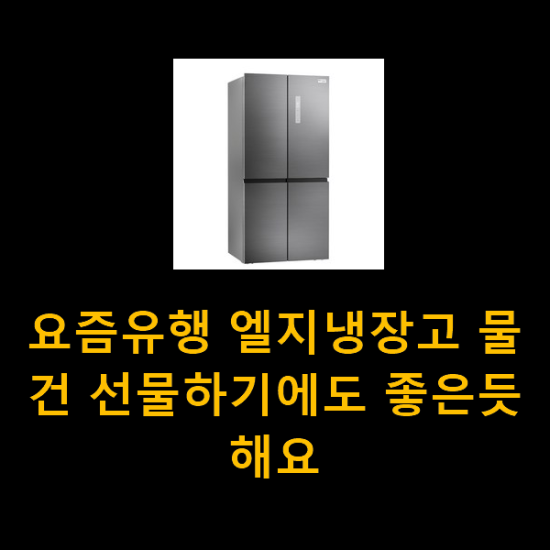 요즘유행 엘지냉장고 물건 선물하기에도 좋은듯 해요 요즘유행 엘지냉장고 물건 선물하기에도 좋은듯 해요