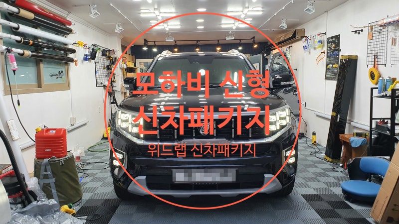 부산 강서구 / PPF / 기아 / 모하비