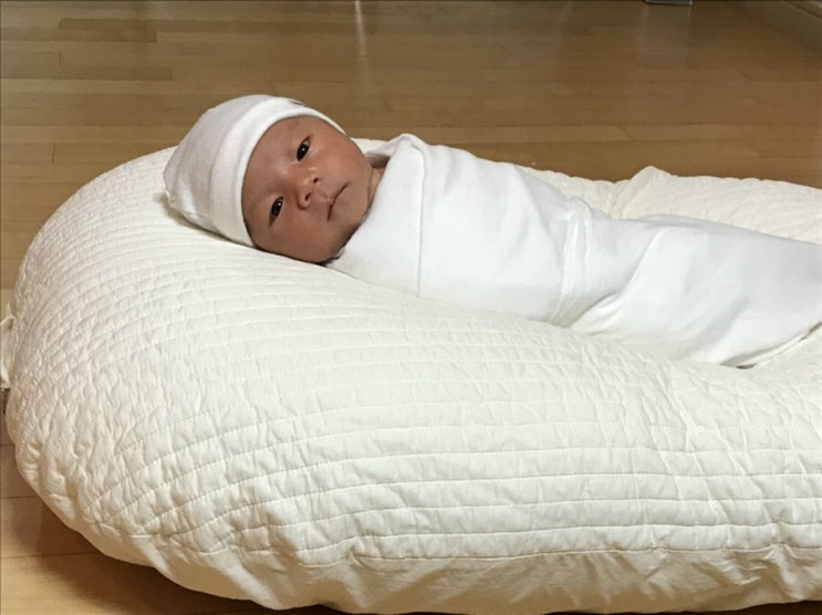  생후 12일차~28일차 아기성장과정 수유텀 혼합수유 설소대시술