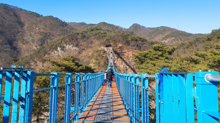  [원주여행] 먼 곳 바라보며 부들부들 건넌 소금산 출렁다리 후기