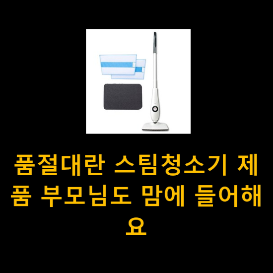 품절대란 스팀청소기 제품 부모님도 맘에 들어해요 품절대란 스팀청소기 제품 부모님도 맘에 들어해요