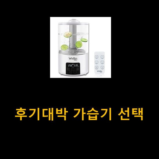 후기대박 가습기 선택 후기대박 가습기 선택
