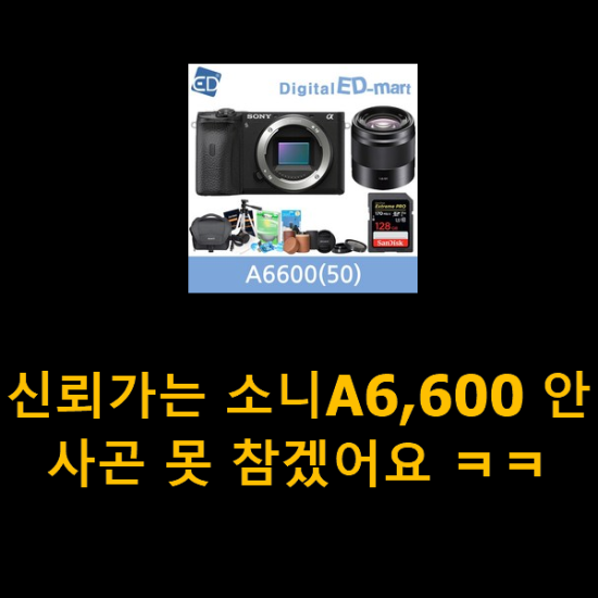 신뢰가는 소니A6,600 안사곤 못 참겠어요 ㅋㅋ