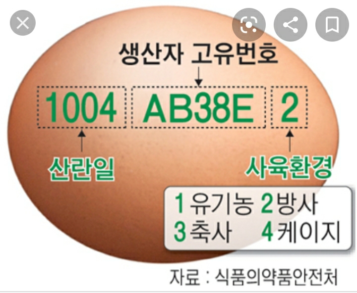  [기사]2017년 시행된 달걀 난각번호 표기. 마켓컬리가 파는 4번달걀은 다르다는데