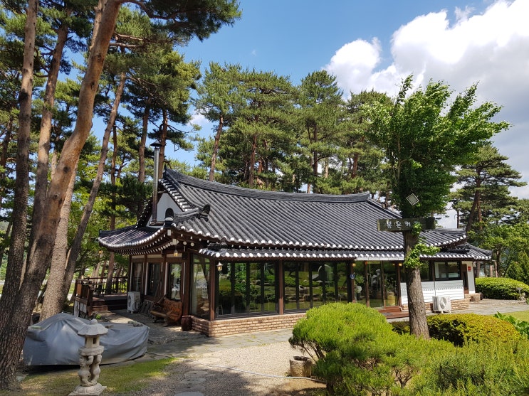  강릉 조용한 카페 나인 정원 경치Good! in 구정