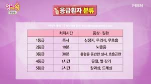  응급환자분류등급 1단계2단계3단계 질병상황 구조시스템