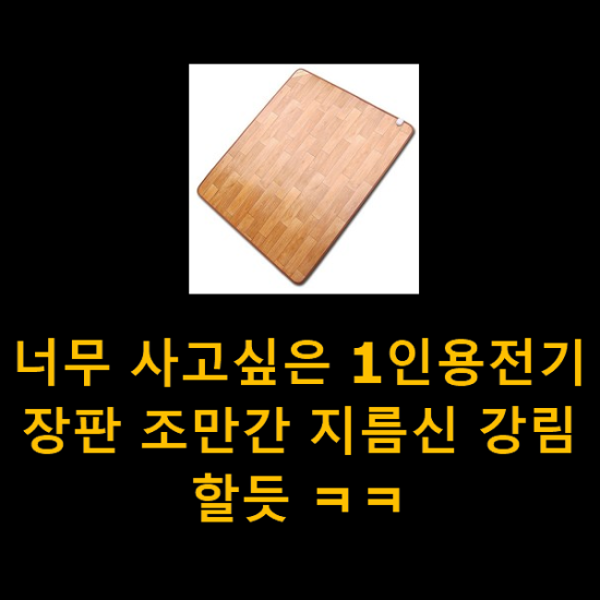 너무 사고싶은 1인용전기장판 조만간 지름신 강림할듯 ㅋㅋ