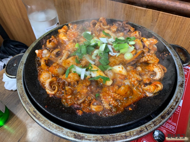  <을지로3가> 을지로 숨은 맛집/철판 쭈꾸미 강추 "마포쭈꾸미" 내돈내산 솔직후기