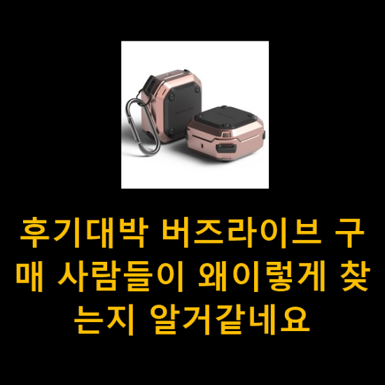 후기대박 버즈라이브 구매 사람들이 왜이렇게 찾는지 알거같네요