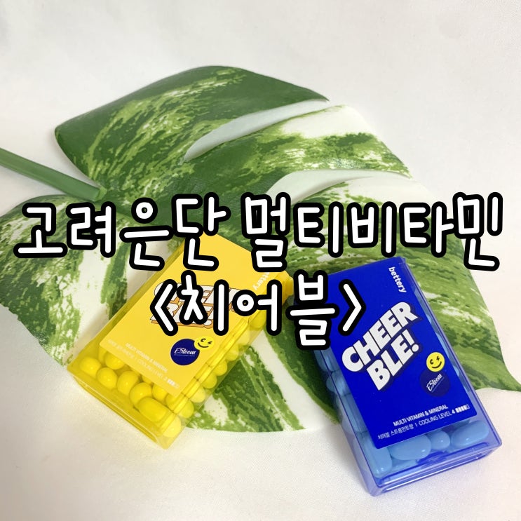  입안이 매우 상쾌해지는 씹어먹는 고려은단 멀티비타민 '치어블'