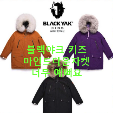 블랙야크키즈 마인드다운자켓H RDS 야상형아동 구스 다운자켓 1BKPAW9915 후리스숏패딩경량키즈패딩