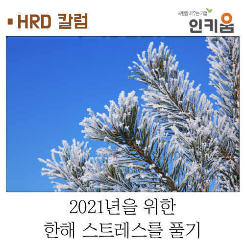  [HRD 칼럼] 2021년을 위한 한해 스트레스를 풀기