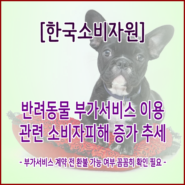  [한국소비자원] 반려동물 부가서비스 이용 관련 소비자피해 증가 추세