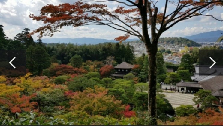 [2년 전 오늘] 오사카 교토 자유여행 / 은각사 / 긴카쿠지 / 철학의 길 / 게이한 패스 / 교토버스 1일 패스