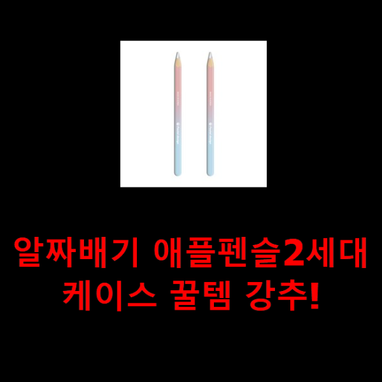 알짜배기 애플펜슬2세대케이스 꿀템 강추!