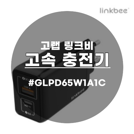  Mac 정품보다 빠른 충전 속도 고랩 링크비 GLPD65W1A1C 고속충전기