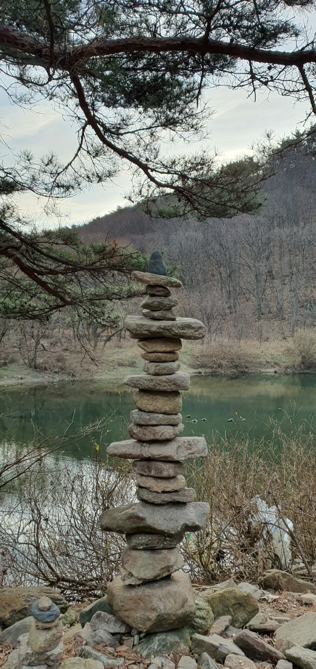 선시 하나