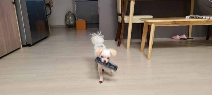  놈팽이 셋