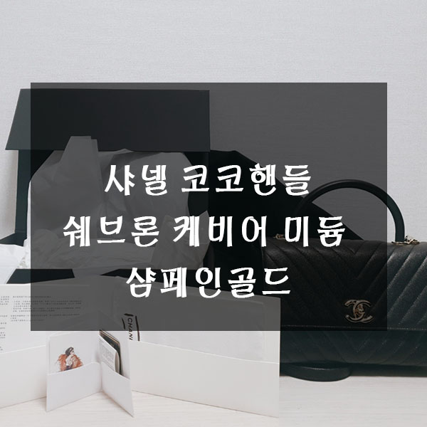  샤넬 코코핸들 쉐브론 케비어 미듐 샴페인골드 예물가방 후기!