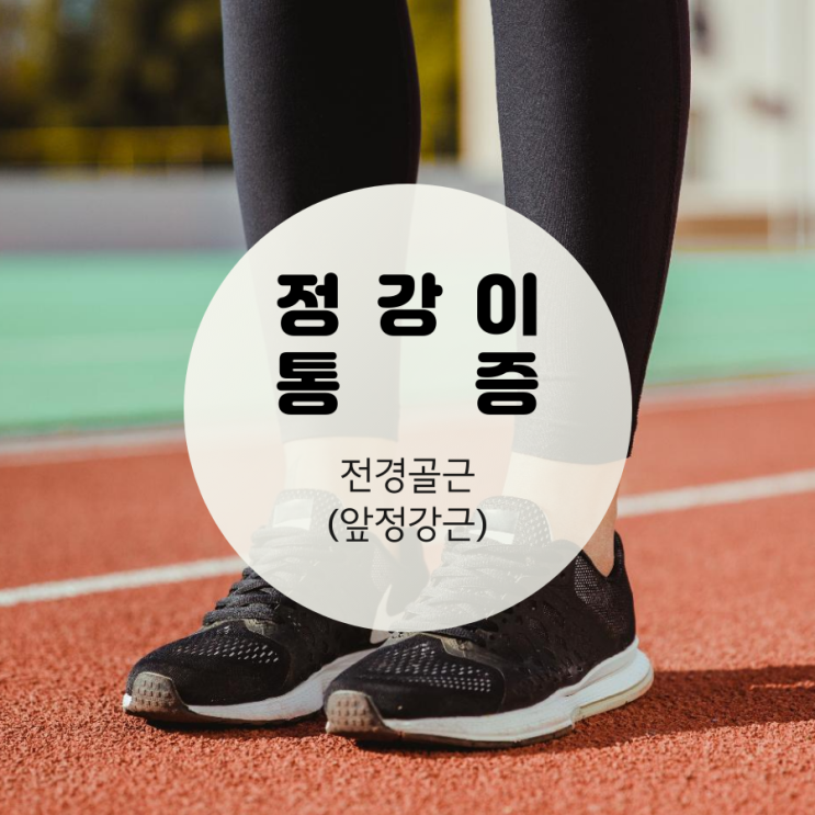  전경골근 관리 통한 정강이 통증 완화 방법