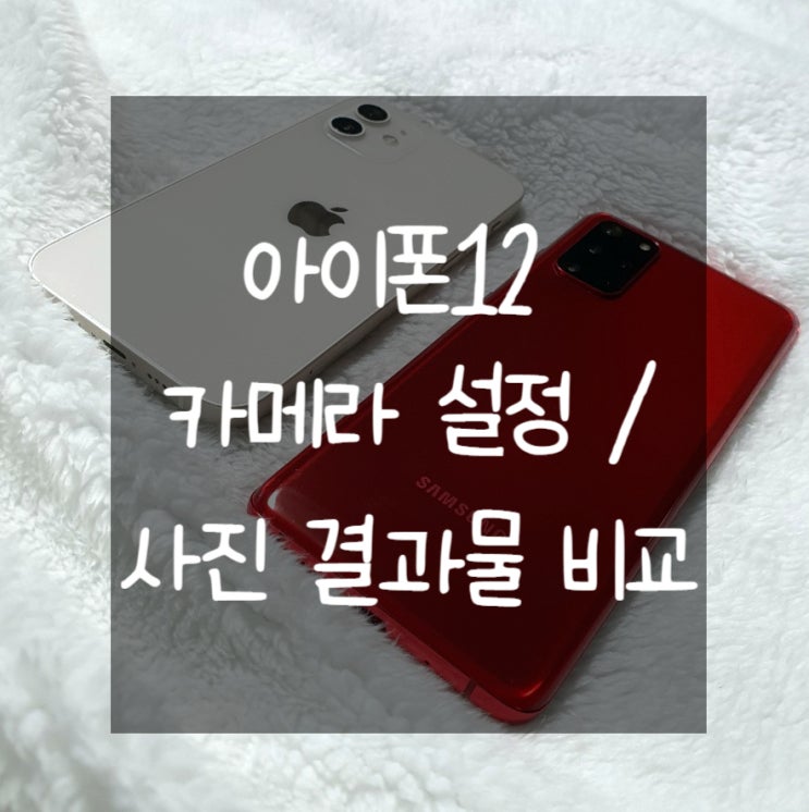  아이폰12 카메라 설정 방법과 갤럭시S20과 사진 결과물 비교