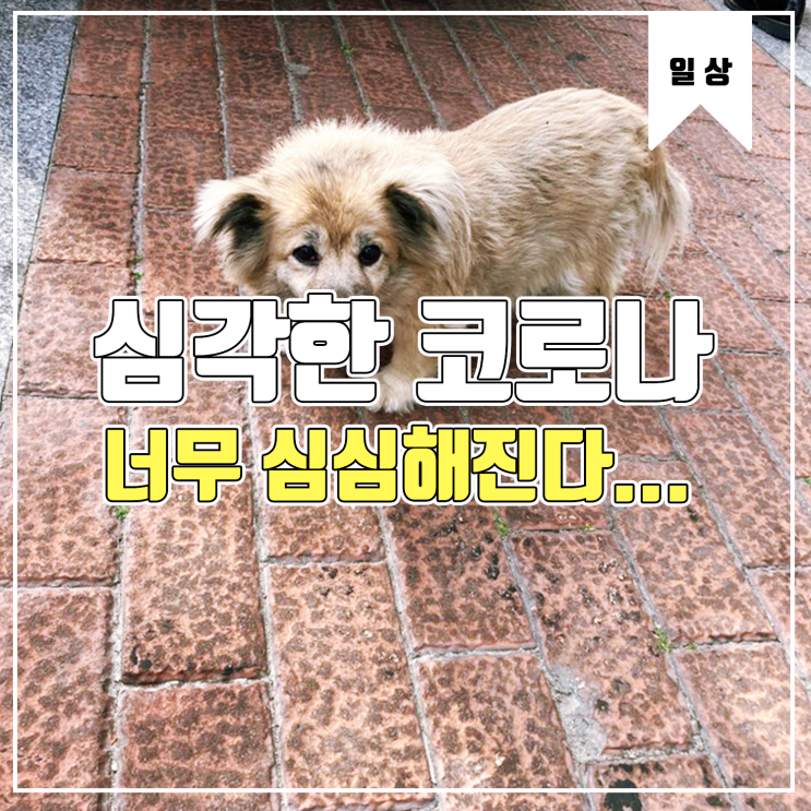  [일상] 심각해져가는 코로나속 심심 Feat.먹거리