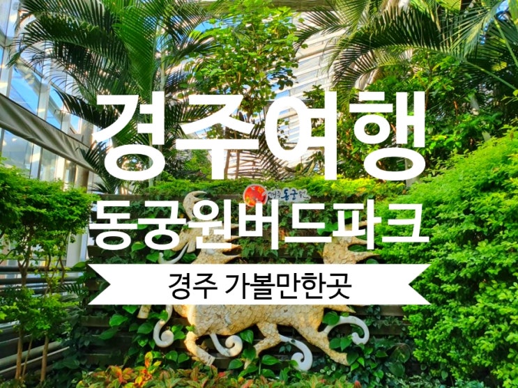  경주동궁원 버드파크 경주가볼만한곳 1박2일 경주여행