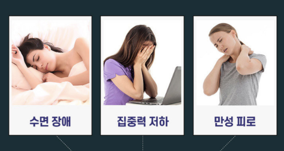 12월 할인코드 장인정신 에브리데이 브리드 배도라지 레시피 유산균 쿠폰