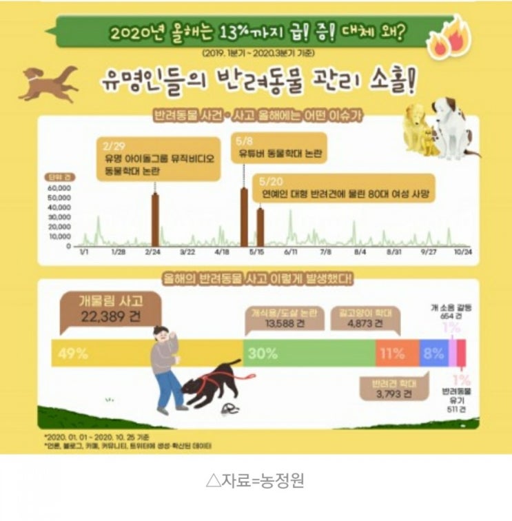  SNS 반려동물 사건ㆍ사고관련 40%차지