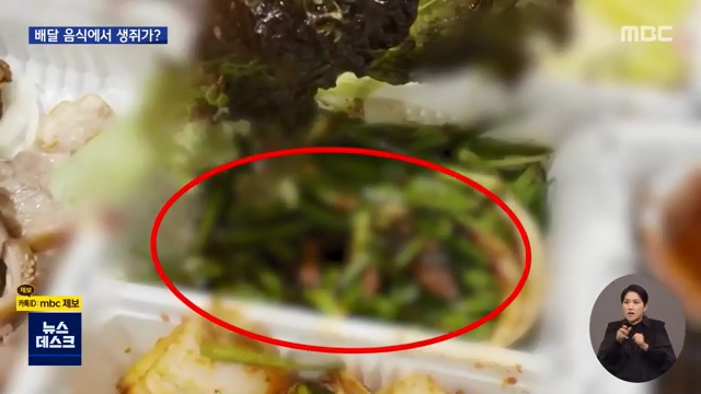 가장 맛있는 족발 상암 쥐 지점 연검 가장 맛있는 족발 상암 쥐 지점 연검