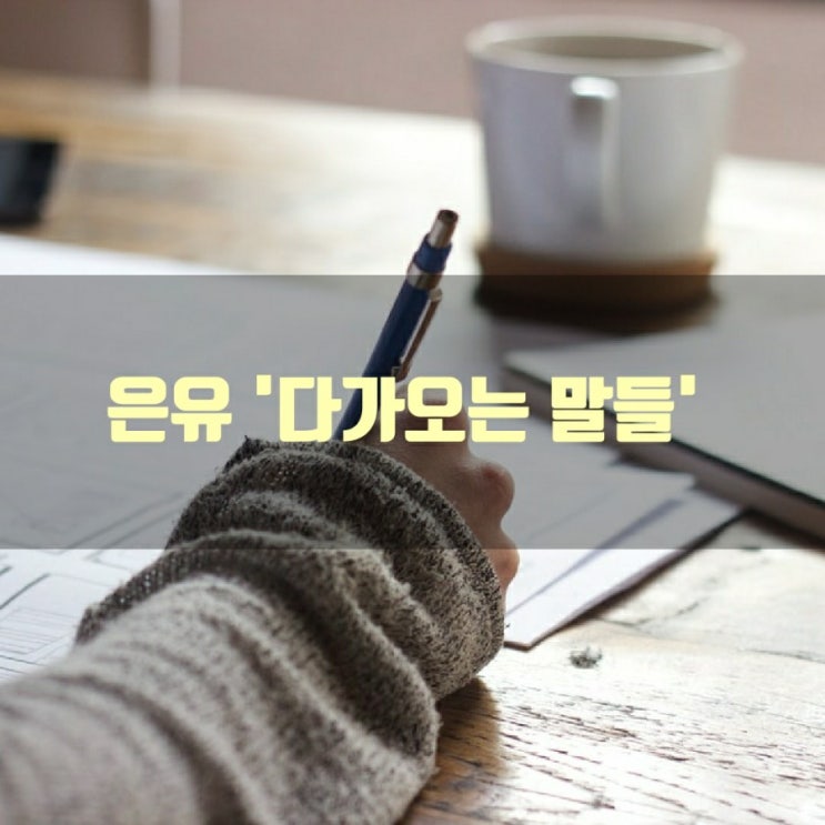  은유의 다가오는 말들