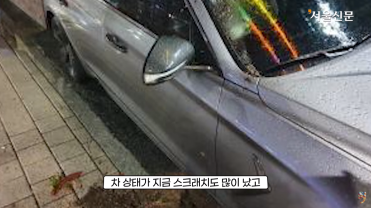 술 먹고 자동차 화분 테러 피해 차주 술 먹고 자동차 화분 테러 피해 차주