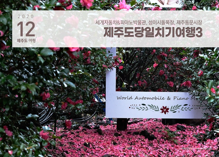 제주도당일치기여행3 - 세계자동차&피아노박물관, 성이시돌목장, 제주동문시장 제주도당일치기여행3 - 세계자동차&피아노박물관, 성이시돌목장, 제주동문시장