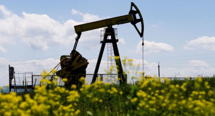 “OPEC+, 내년부터 석유 생산 점진적으로 늘린다”