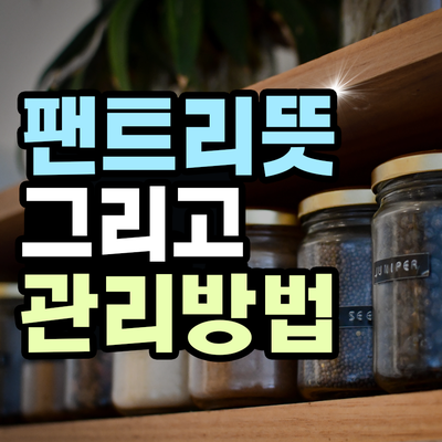  팬트리뜻 그리고 효율적인 펜트리 정리 꿀팁