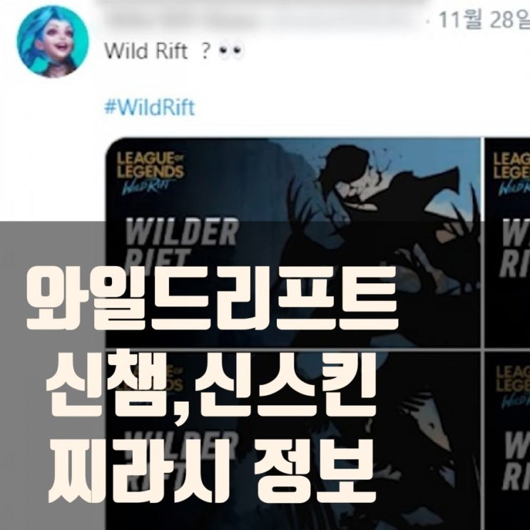 롤 와일드리프트 12월패치 : 신챔,신스킨추가 롤 와일드리프트 12월패치 : 신챔,신스킨추가