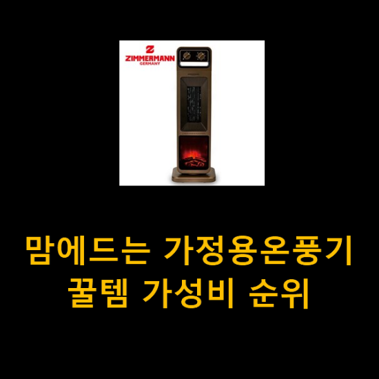 맘에드는 가정용온풍기 꿀템 가성비 순위 맘에드는 가정용온풍기 꿀템 가성비 순위