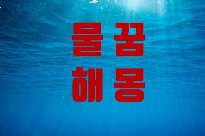 물 꿈 계곡 시냇물 강 호수 바다 물에 빠지는 빠져 죽는 꿈 해몽~ : 네이버 블로그 물 꿈 계곡 시냇물 강 호수 바다 물에 빠지는 빠져 죽는 꿈 해몽~ : 네이버 블로그