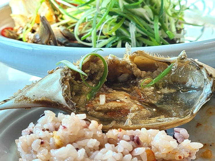  [대전 동학사 맛집] 자연속에서 통통하고 꽉찬 간장게장과 푸짐한 밥상에 감동~ / 계룡산 맛집 대전 한정식 추천