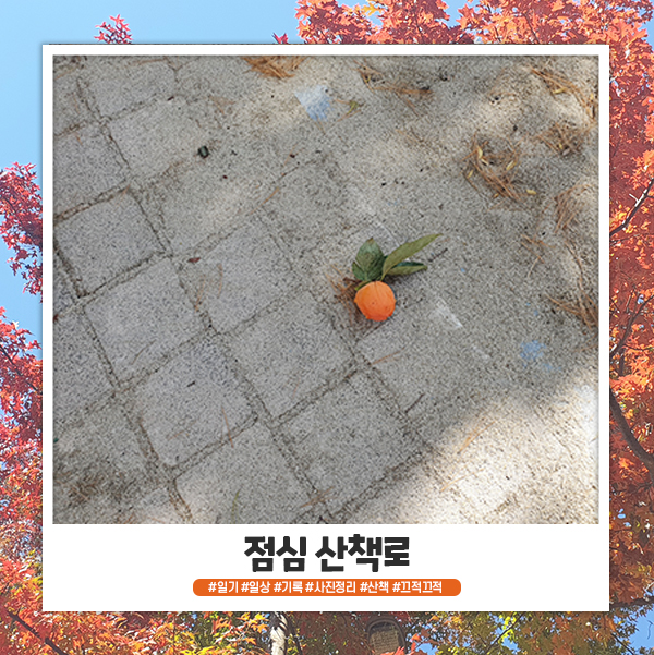 20.12.08 일상 기록_점심 산책로