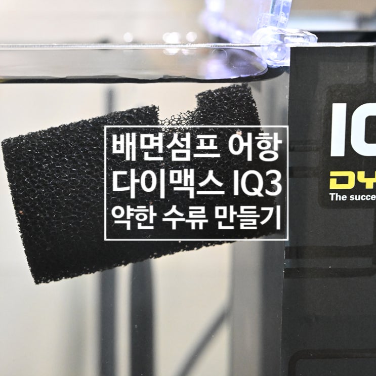  배면섬프 어항 다이맥스 IQ3 수류 세기 줄이는 법