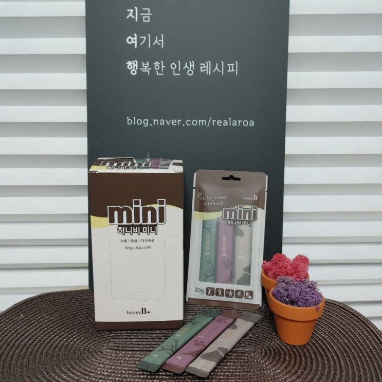  꿀효능 간편하게 꿀스틱으로 느껴보자! 10g 천연꿀 담긴 허니스틱 허니비플러스